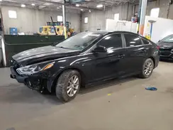 5NPE24AF9KH762503 2019 HYUNDAI SONATA