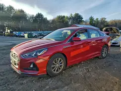 5NPE24AF9KH772254 2019 HYUNDAI SONATA