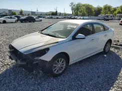 5NPE24AF9KH772786 2019 HYUNDAI SONATA
