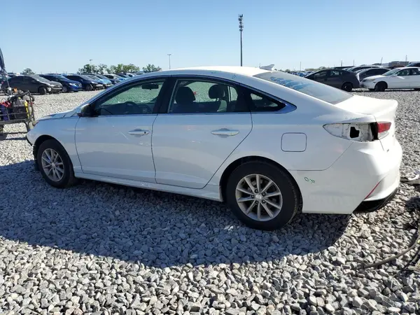 5NPE24AF9KH772786 2019 HYUNDAI SONATA - Image 2