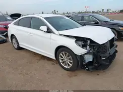 5NPE24AF9KH776076 2019 HYUNDAI SONATA