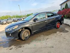5NPE24AF9KH776398 2019 HYUNDAI SONATA