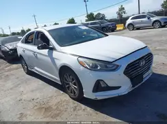 5NPE24AF9KH777339 2019 HYUNDAI SONATA