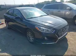 5NPE24AF9KH778491 2019 HYUNDAI SONATA