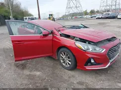 5NPE24AF9KH778989 2019 HYUNDAI SONATA