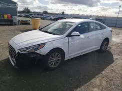 5NPE24AF9KH779902 2019 HYUNDAI SONATA