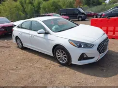 5NPE24AF9KH782363 2019 HYUNDAI SONATA