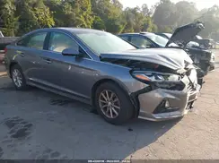 5NPE24AF9KH785196 2019 HYUNDAI SONATA