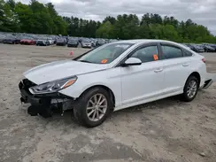 5NPE24AF9KH785974 2019 HYUNDAI SONATA