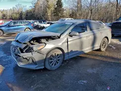 5NPE24AF9KH794478 2019 HYUNDAI SONATA