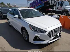 5NPE24AF9KH795601 2019 HYUNDAI SONATA