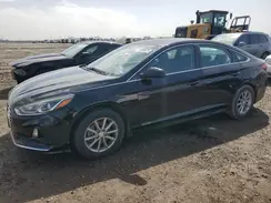 5NPE24AF9KH795839 2019 HYUNDAI SONATA