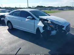 5NPE24AF9KH796991 2019 HYUNDAI SONATA