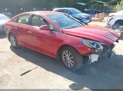 5NPE24AF9KH798420 2019 HYUNDAI SONATA