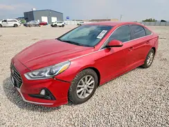 5NPE24AF9KH801557 2019 HYUNDAI SONATA