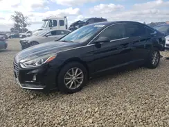5NPE24AF9KH802532 2019 HYUNDAI SONATA