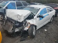 5NPE24AF9KH805141 2019 HYUNDAI SONATA