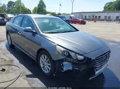 5NPE24AF9KH807536 2019 HYUNDAI SONATA