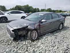 5NPE24AF9KH808864 2019 HYUNDAI SONATA