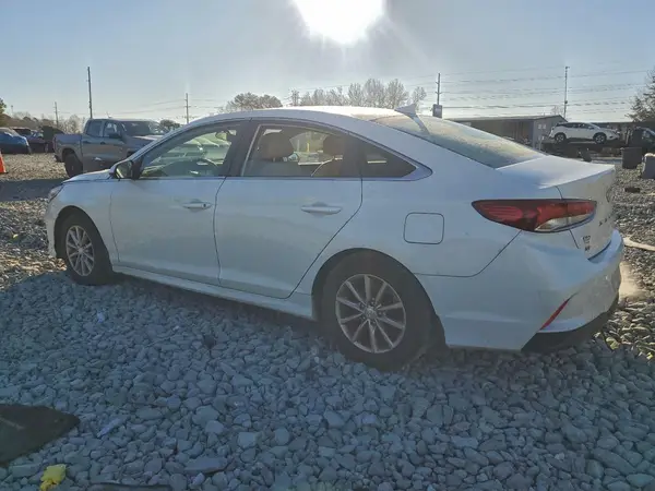 5NPE24AF9KH809206 2019 HYUNDAI SONATA - Image 2
