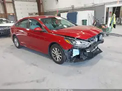 5NPE24AF9KH810338 2019 HYUNDAI SONATA