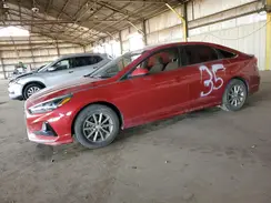 5NPE24AF9KH810646 2019 HYUNDAI SONATA