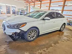 5NPE24AF9KH813949 2019 HYUNDAI SONATA