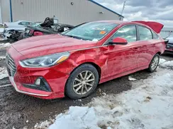 5NPE24AF9KH814048 2019 HYUNDAI SONATA