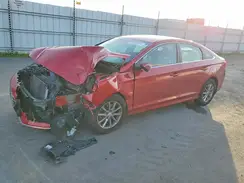 5NPE24AF9KH814051 2019 HYUNDAI SONATA
