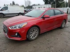 5NPE24AF9KH817161 2019 HYUNDAI SONATA