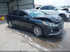 5NPE24AF9KH818066 2019 HYUNDAI SONATA