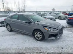 5NPE24AF9KH818228 2019 HYUNDAI SONATA