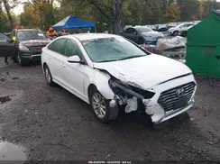 5NPE24AF9KH820142 2019 HYUNDAI SONATA