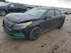 5NPE24AFXGH262082 2016 HYUNDAI SONATA