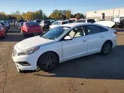 5NPE24AFXGH262230 2016 HYUNDAI SONATA