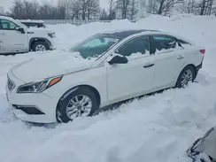 5NPE24AFXGH264950 2016 HYUNDAI SONATA