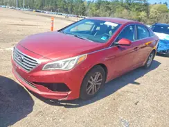 5NPE24AFXGH268528 2016 HYUNDAI SONATA