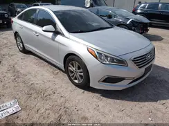 5NPE24AFXGH272949 2016 HYUNDAI SONATA