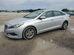 5NPE24AFXGH280663 2016 HYUNDAI SONATA