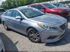 5NPE24AFXGH290187 2016 HYUNDAI SONATA