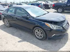 5NPE24AFXGH291324 2016 HYUNDAI SONATA