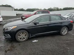 5NPE24AFXGH291341 2016 HYUNDAI SONATA