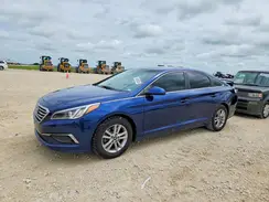 5NPE24AFXGH294000 2016 HYUNDAI SONATA