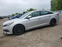 5NPE24AFXGH294367 2016 HYUNDAI SONATA