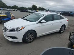 5NPE24AFXGH296832 2016 HYUNDAI SONATA