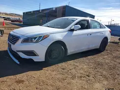 5NPE24AFXGH301463 2016 HYUNDAI SONATA