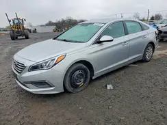 5NPE24AFXGH303116 2016 HYUNDAI SONATA