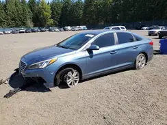 5NPE24AFXGH310292 2016 HYUNDAI SONATA