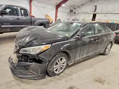 5NPE24AFXGH311863 2016 HYUNDAI SONATA