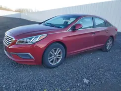 5NPE24AFXGH312043 2016 HYUNDAI SONATA
